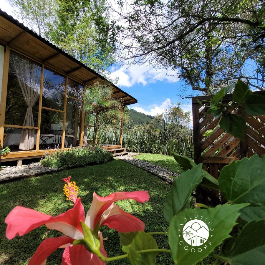 Exclusivo Cocora Con Jacuzzi Salento Quindio 빌라 외부 사진