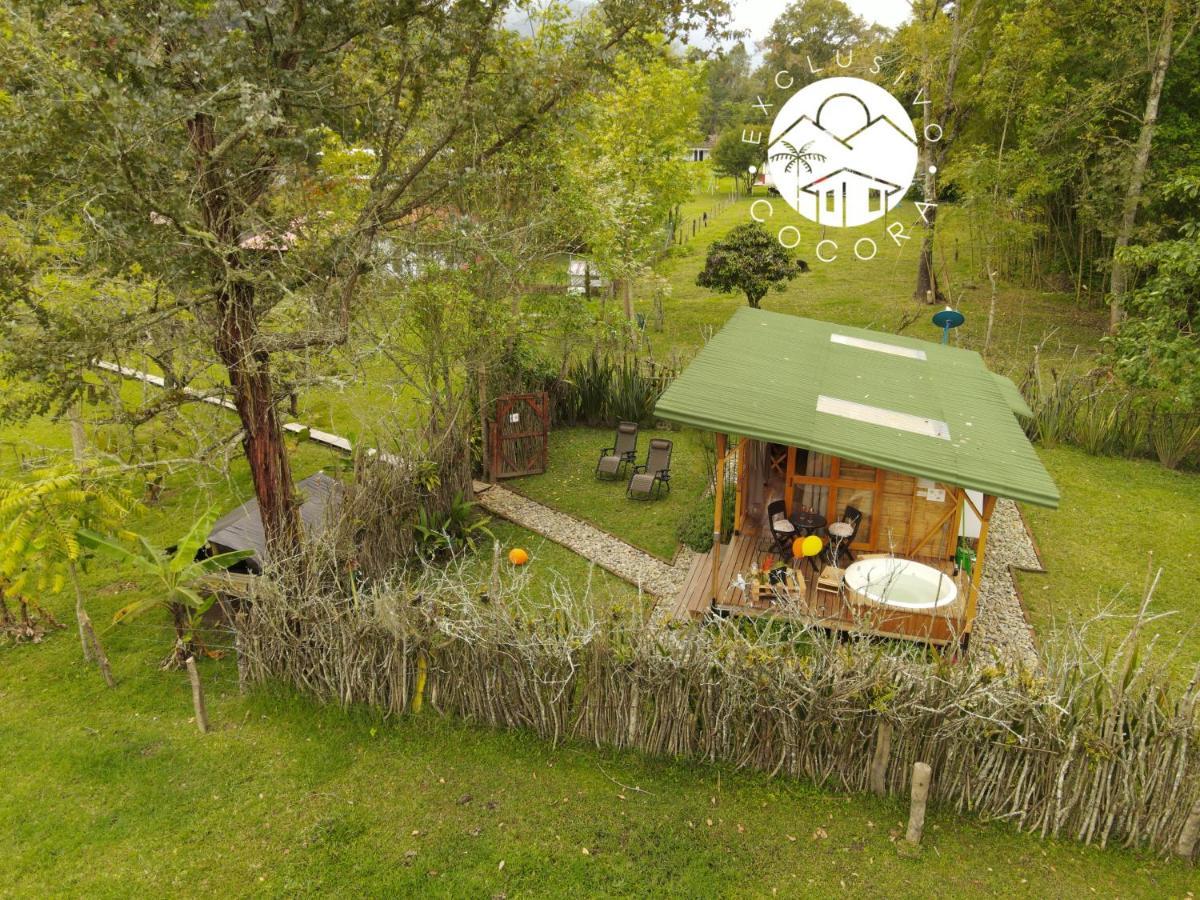 Exclusivo Cocora Con Jacuzzi Salento Quindio 빌라 외부 사진