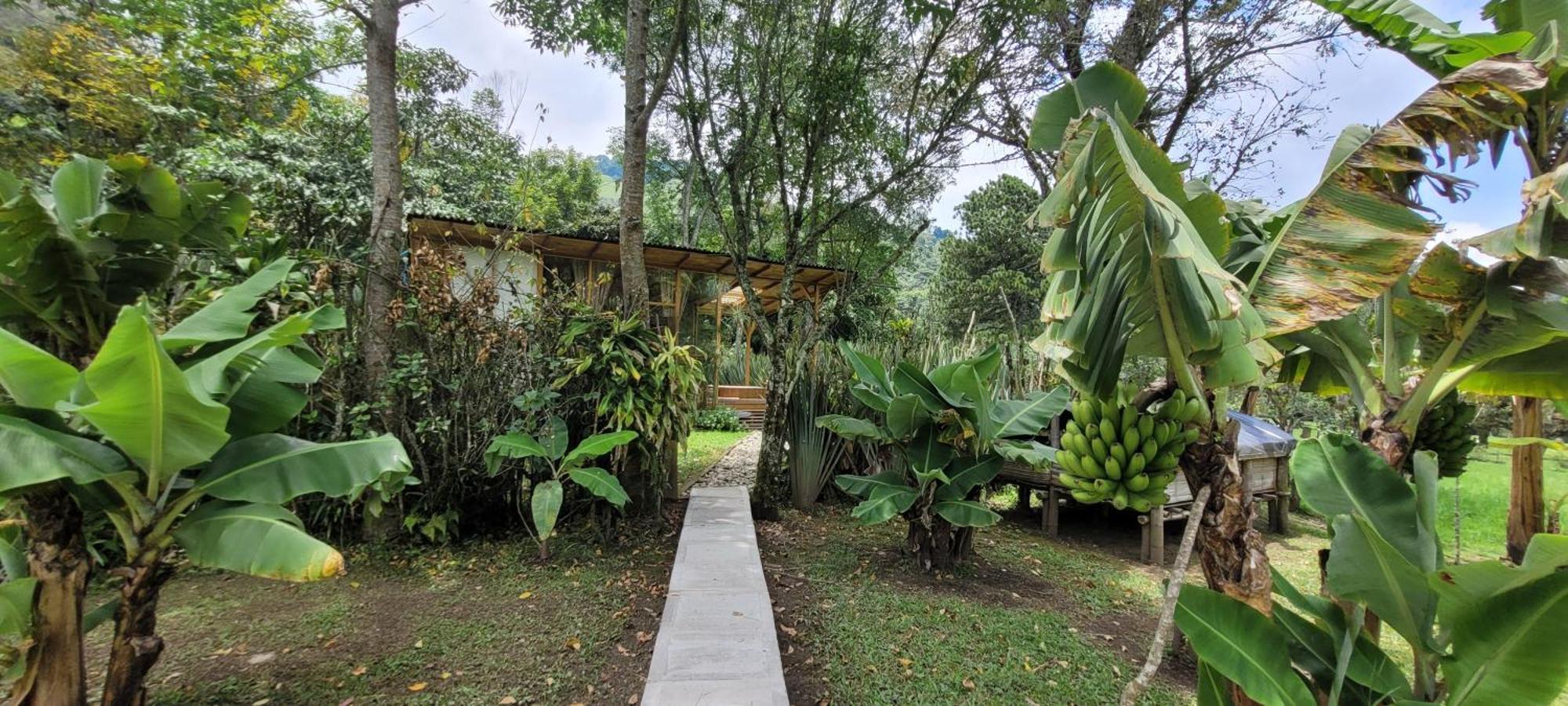 Exclusivo Cocora Con Jacuzzi Salento Quindio 빌라 외부 사진