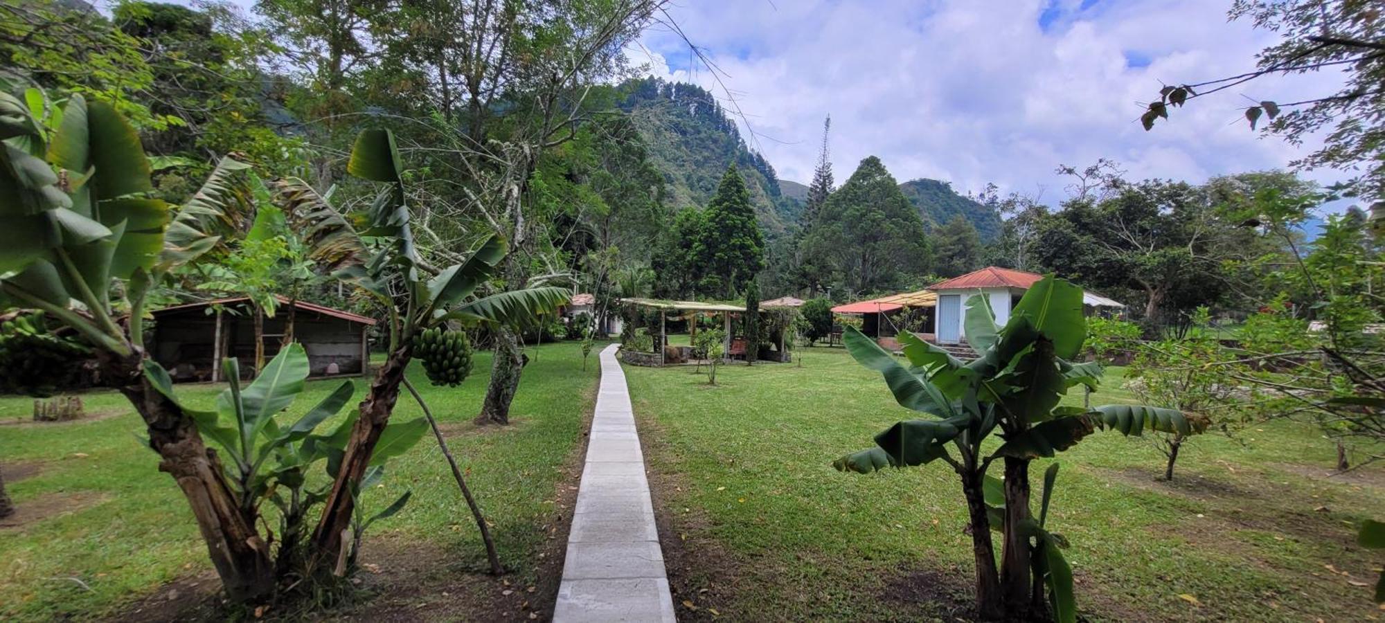 Exclusivo Cocora Con Jacuzzi Salento Quindio 빌라 외부 사진