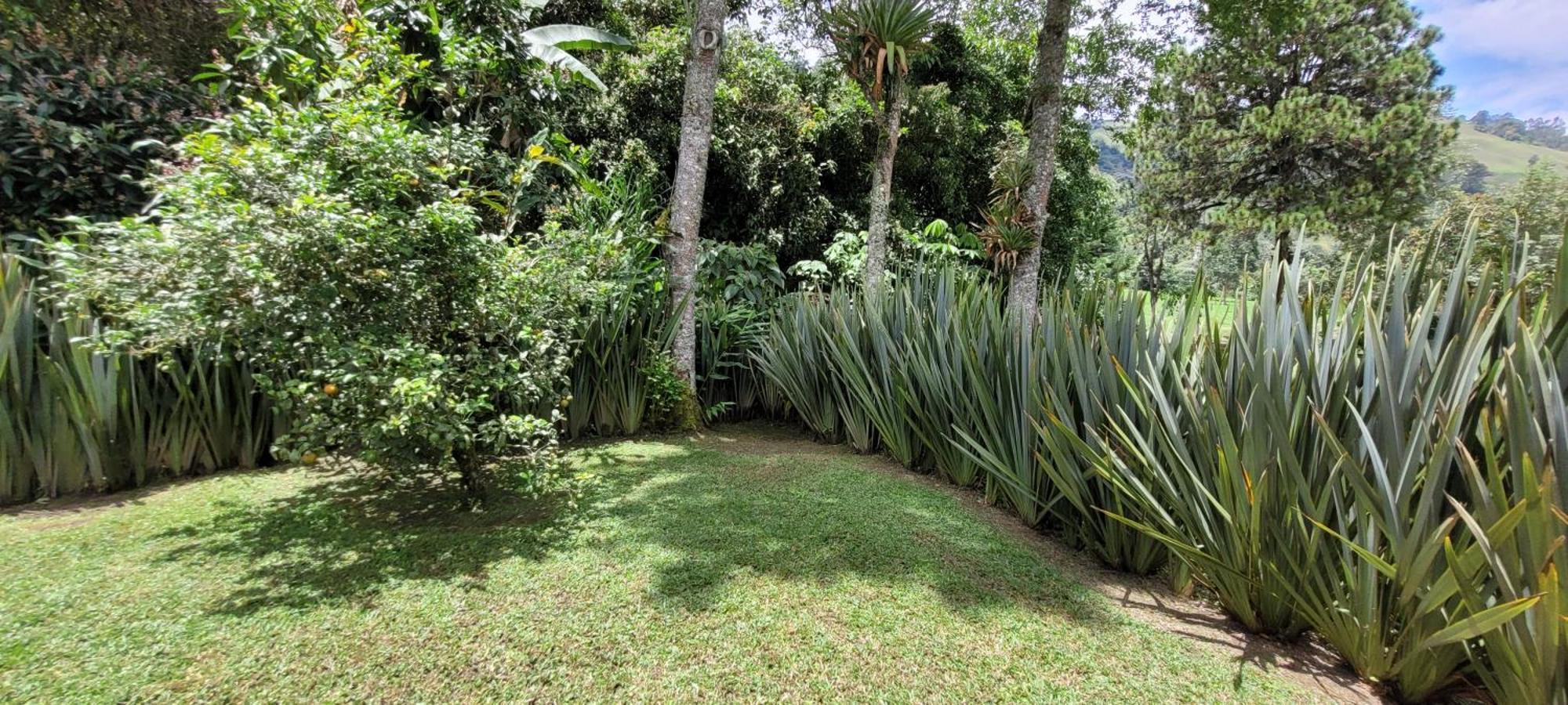 Exclusivo Cocora Con Jacuzzi Salento Quindio 빌라 외부 사진