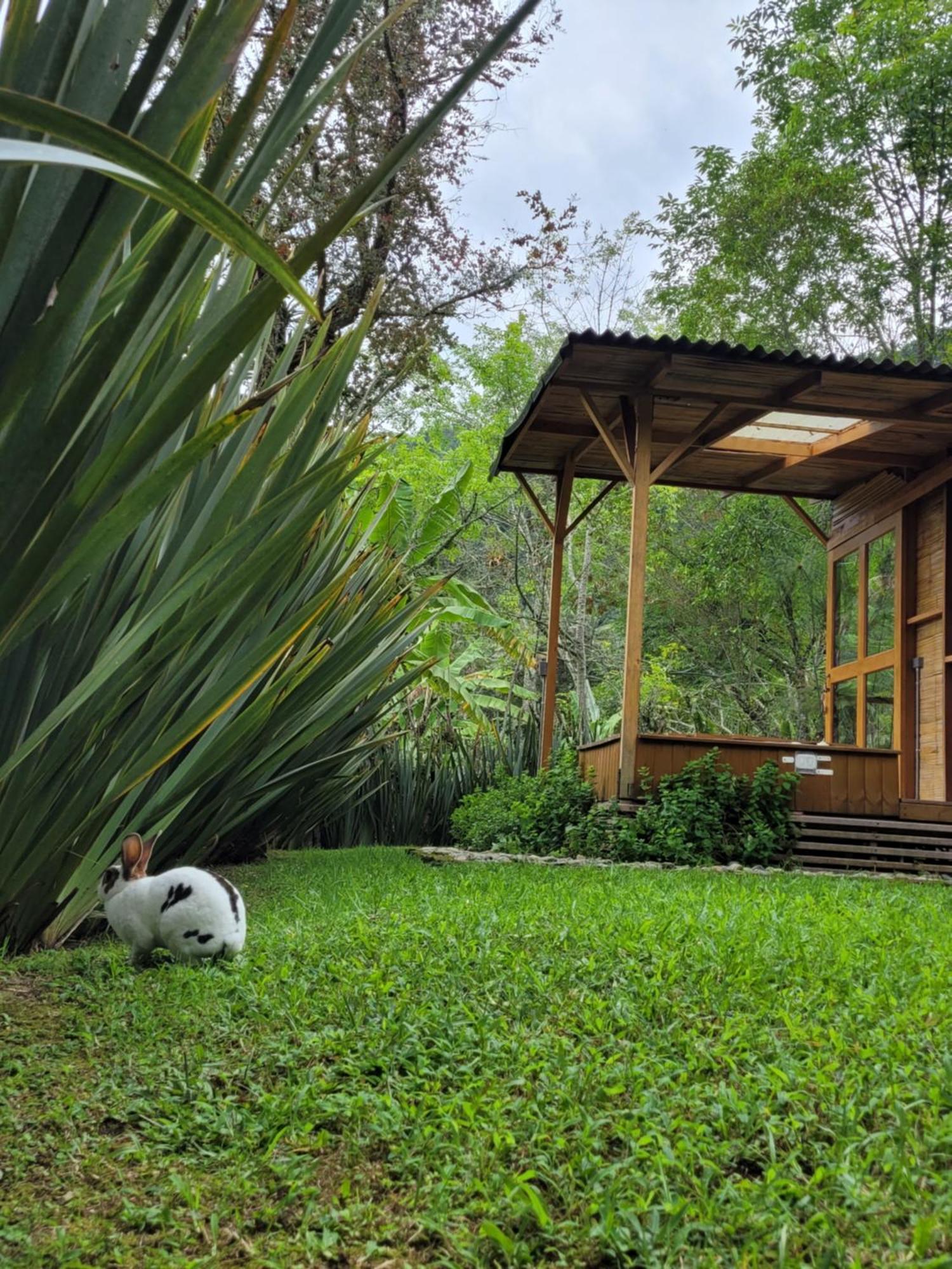 Exclusivo Cocora Con Jacuzzi Salento Quindio 빌라 외부 사진